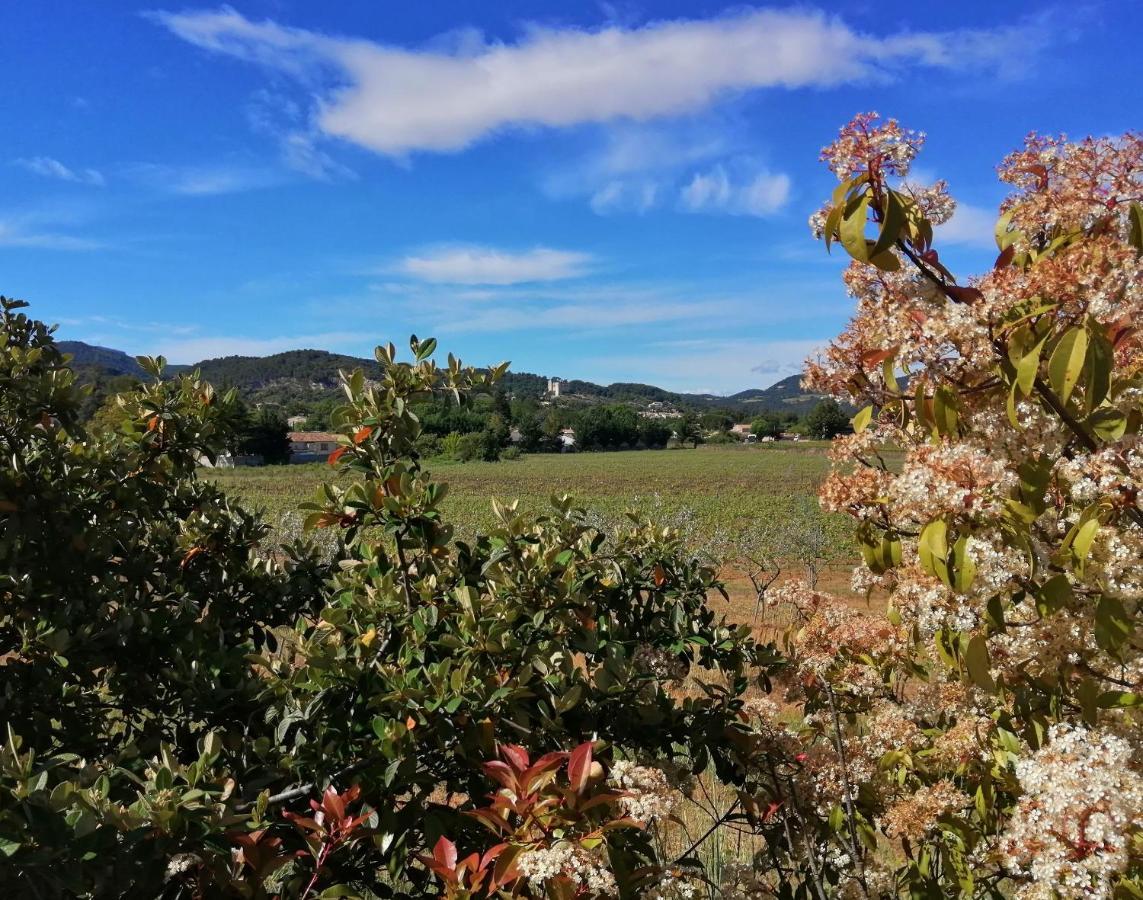 Au Villadior - Vaison La Romaine Eksteriør billede